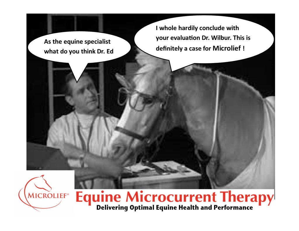 Mr Ed 2 Microlief